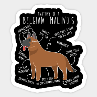 Red Mahogany Belgian Malinois Dog Anatomy Sticker